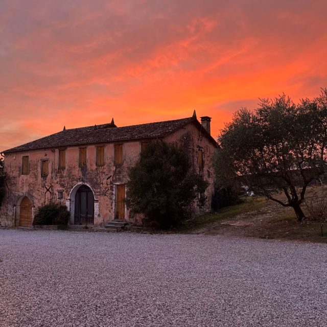 Conegliano: Prosecco Hills and Vineyards Tour - Booking Information and Cancellation Policy