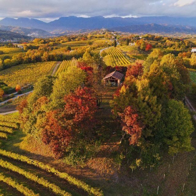 Conegliano: Prosecco Hills and Vineyards Tour - Since Your Asked
