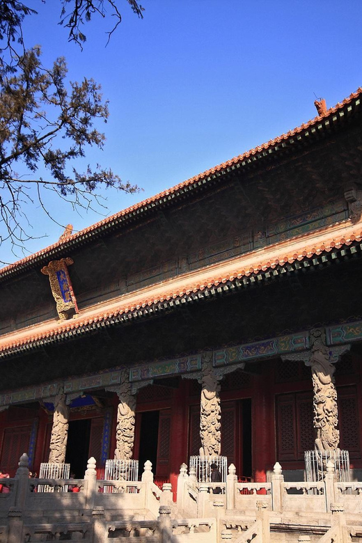 Confucius Temple, Family Mansion and Cemetery With Lunch - Customer Feedback