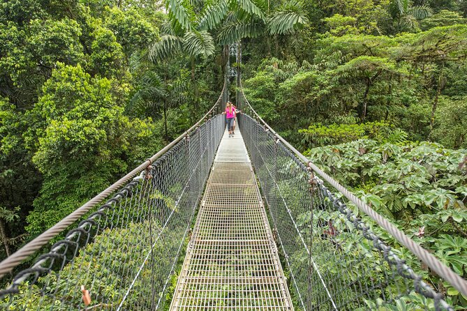 Congo Combo (Hanging Bridges and Zipline Adventure) - Key Points