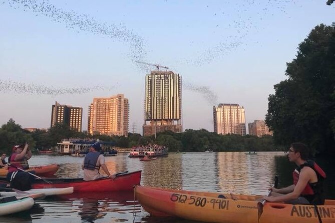 Congress Avenue Bat Bridge Kayak Tour in Austin - Unique Bat Viewing Experience