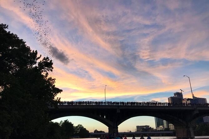 Congress Avenue Bat Bridge Kayak Tour in Austin - Meeting Point and Parking
