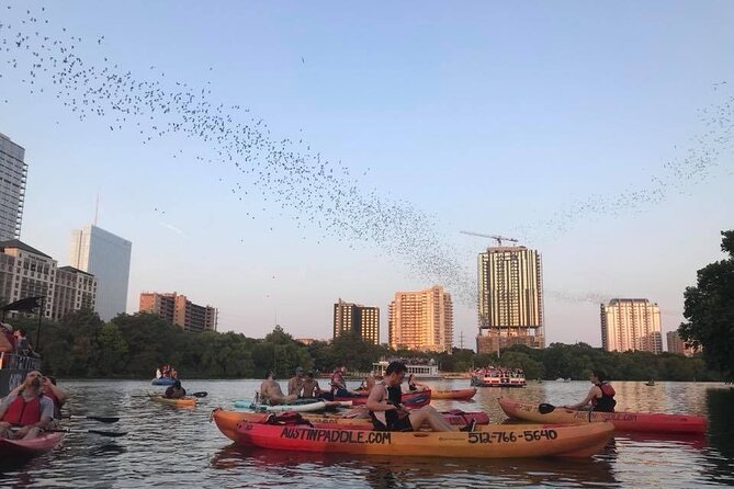 Congress Avenue Bat Bridge Kayak Tour in Austin - Cancellation and Rescheduling Policies