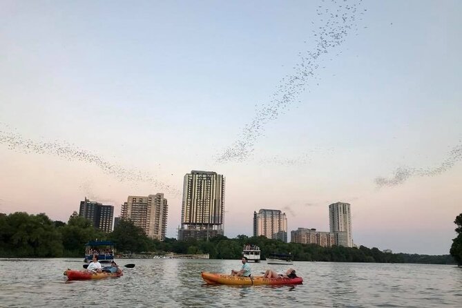 Congress Avenue Bat Bridge Kayak Tour in Austin - Physical Fitness Requirements