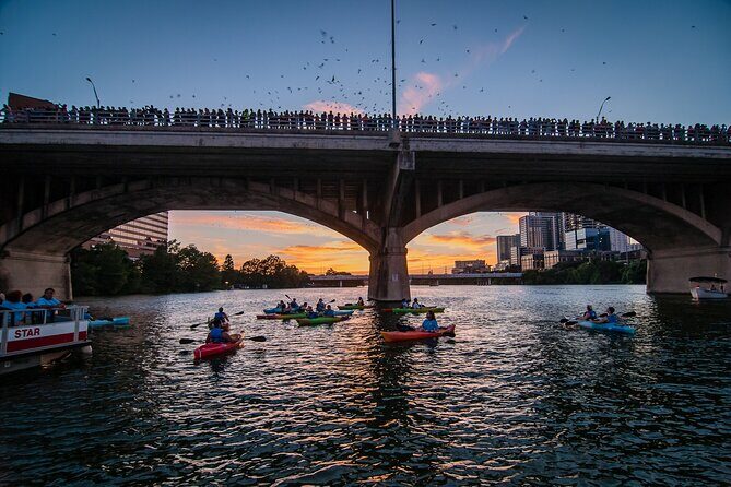 Congress Bridge Kayaking Bat Tour - Booking and Price Value