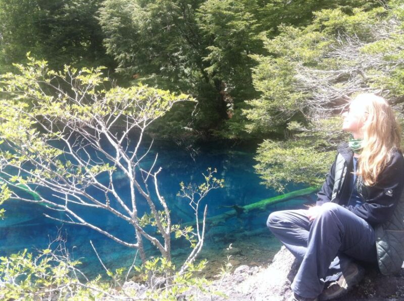 Conguillío National Park Tour - Full Day - Pickup Location and Schedule