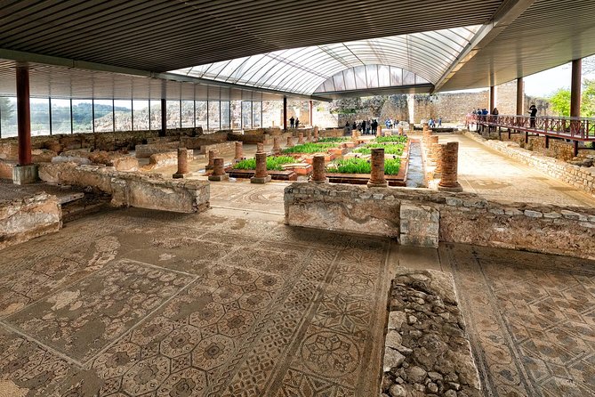 Conímbriga Roman Ruins & Museum - Pricing and Booking Details