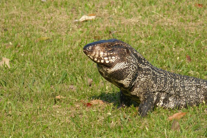Connect With the Nature of Iberá on a Private Tour - Customize Your Private Tour Experience