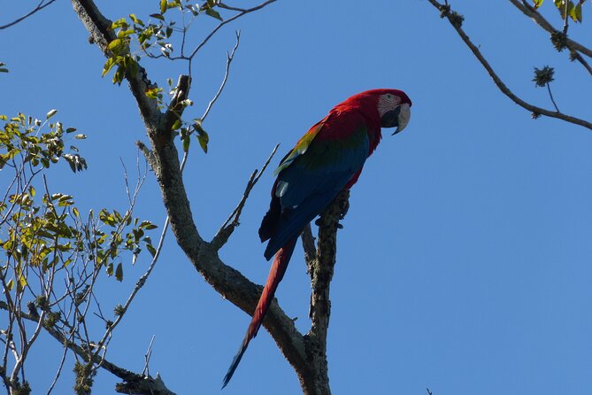 Connect With the Nature of Iberá on a Private Tour - Explore the Lush Wetlands of Iberá