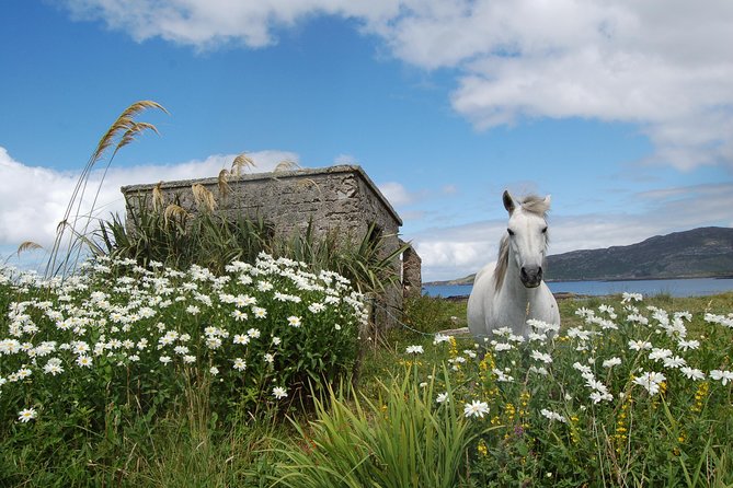 Connemara & Connemara National Park Day Tour From Galway. Guided. - Whats Included