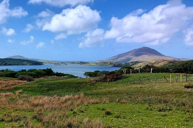 Connemara Sheep Farm Experience & Kylemore Abbey by Lux Limousine - Accessibility Features