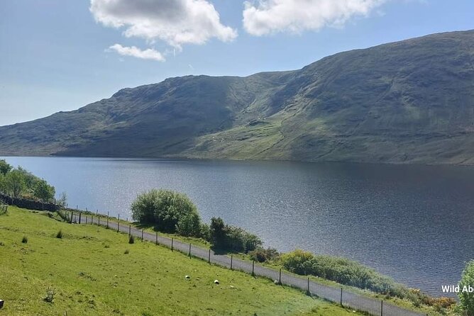 Connemara Sheep Farm Experience & Kylemore Abbey by Lux Limousine - Reviews