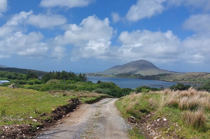 Connemara Sheep Farm Experience & Kylemore Abbey by Lux Limousine - Sheep Farm Experience