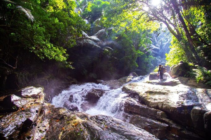 Conquer Duong Cam Waterfall 1-Day Adventure Tour - Wildlife and Plants