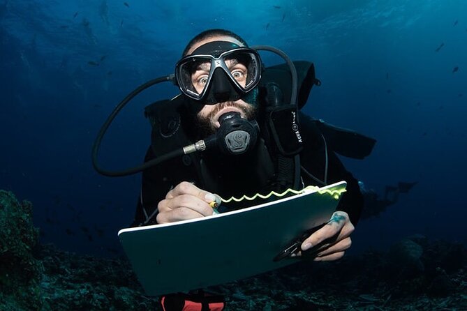 Conservation Diving -Coral Reef Ecology and Monitoring in Waikiki - Key Points