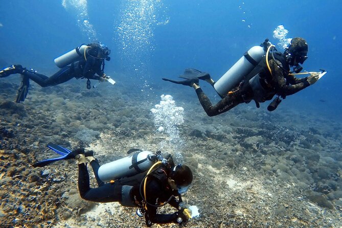 Conservation Diving -Coral Reef Ecology and Monitoring in Waikiki - Snorkeling and Scuba Diving