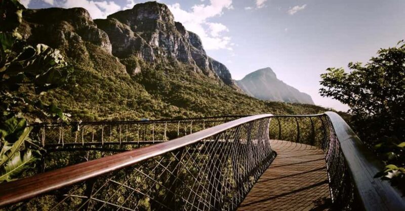 Constantia Wineries & Kirstenbosch Gardens Private Day Tour - Itinerary Highlights