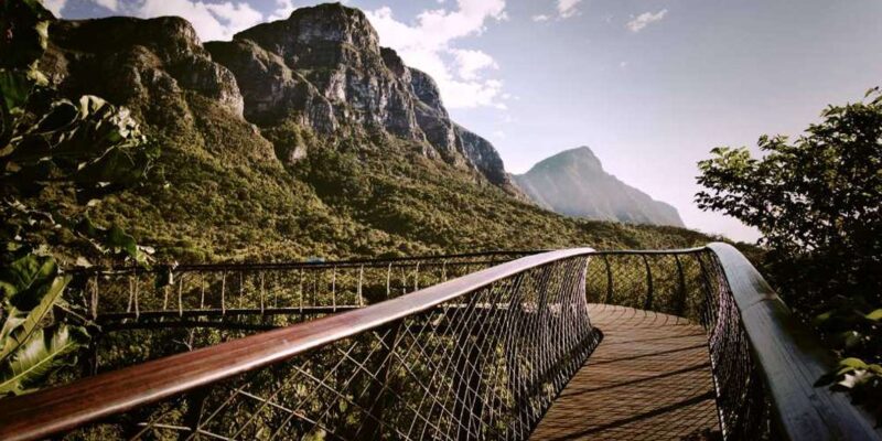 Constantia Wineries & Kirstenbosch Gardens Private Day Tour - Constantia Wine Tasting Experiences