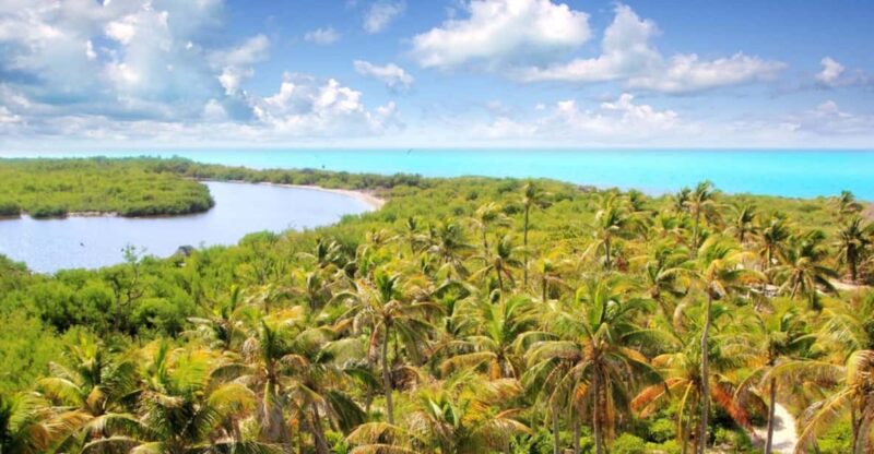 Contoy and Isla Mujeres Island - Boat Transportation and Snorkeling