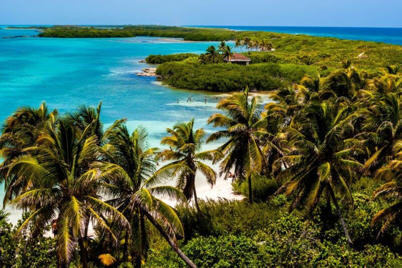 Contoy and Mujeres Islands Tour With Transfer Options - Experience Highlights