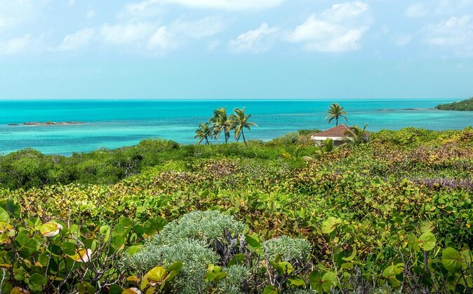 Contoy Island - Key Points