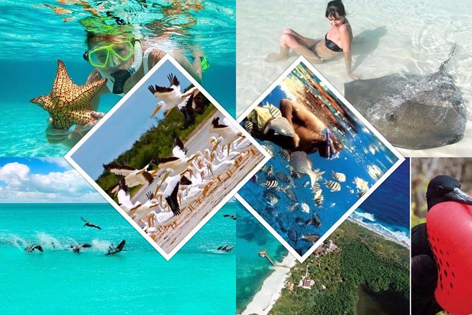 Contoy Island - Meeting and Pickup