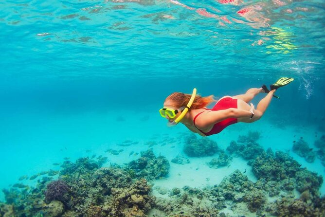 Contoy Island & Isla Mujeres Adventure From Cancun - Tips for Travelers