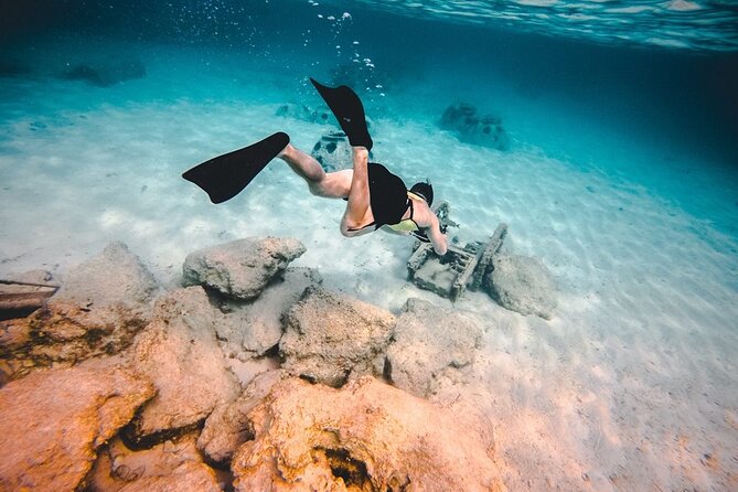 Contoy Island & Isla Mujeres Adventure From Cancun - Frequently Asked Questions