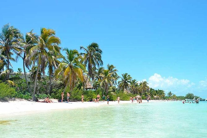 Contoy Island Tour From Playa Del Carmen & Cancun - Snorkeling and Island Exploration