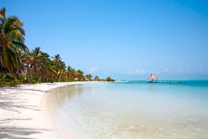 Contoy Island Tour From Playa Del Carmen & Cancun - Dining and Refreshments