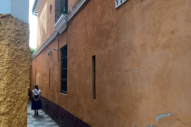Contrasts of Seville - Inclusions and Accessibility