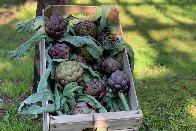 Cook and Eat in the Citrus Grove in Sorrento - Menu Highlights and Beverages