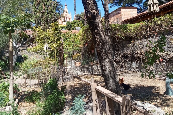 Cook & Dine | Make Authentic Mexican Mole and Salsas in San Miguel De Allende - Meeting Location and Accessibility