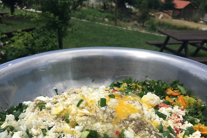 Cook Like a Local Greek Cooking Lesson in Mt Pelion Greece - Inclusions and Amenities
