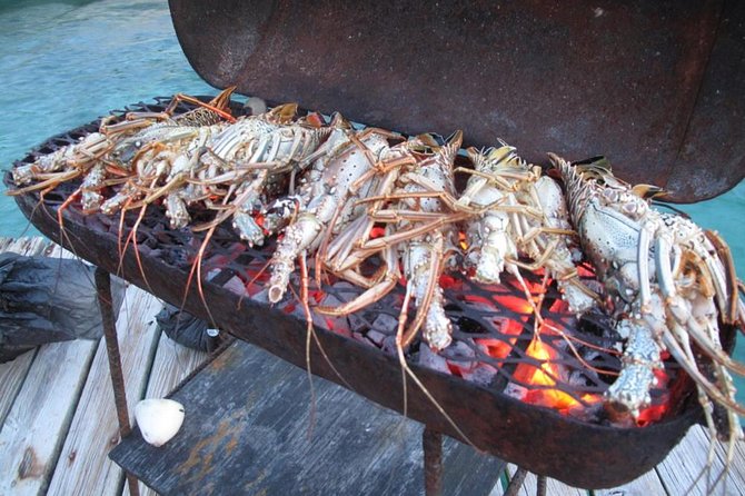 Cook Your Catch-Private Island Picnic - Key Points