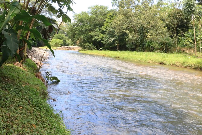 Cooking Class and Sugar Cane Experience - Overview of the Experience