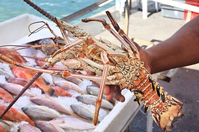 Cooking Class - Grilled Lobster & Fish With Lunch Included - Transportation and Meeting