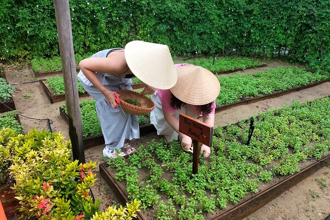 Cooking Class Hoi An - Organic Garden - Farming Tour - Transportation and Accessibility