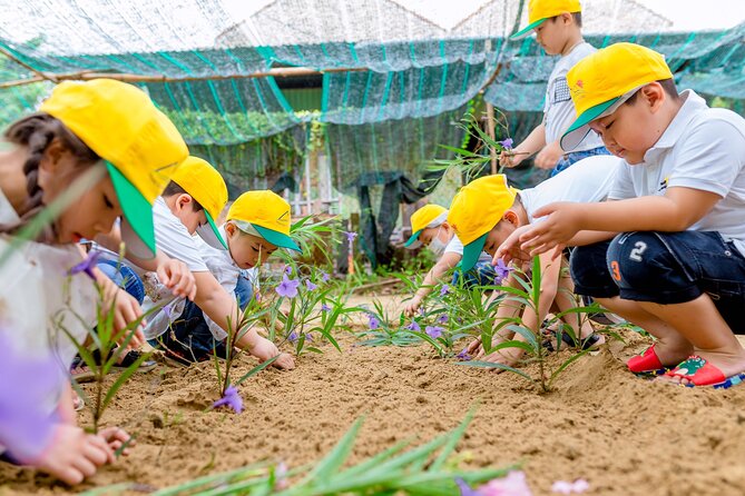 Cooking Class Hoi An - Organic Garden - Farming Tour - Cooking Class With Chef