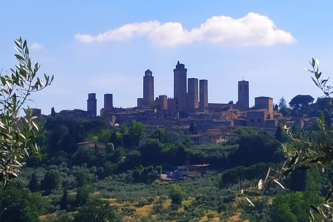 Cooking Class in a Real Tuscan Farmhouse - Breathtaking Tuscan Farmhouse Setting
