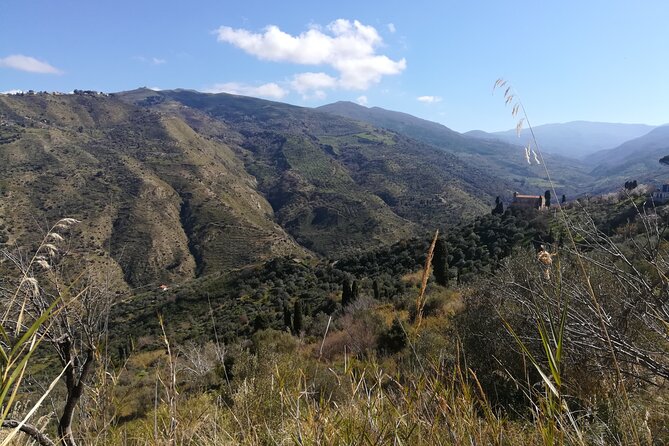 Cooking Class in a Sicilian Countryhouse - Highlights of the Sicilian Menu