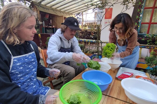 Cooking Class in Sa Pa With Local Chef - Overview of the Cooking Class
