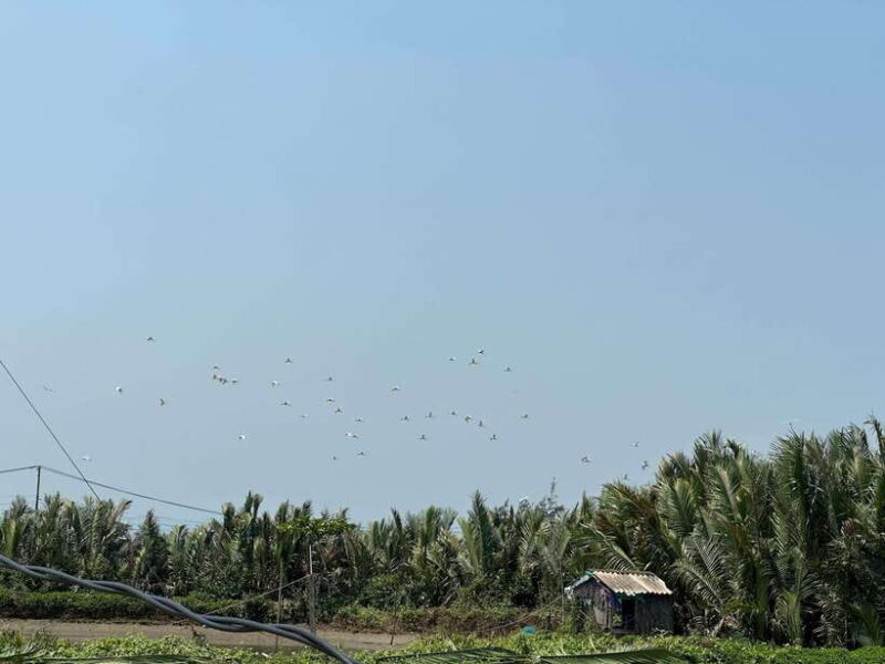 Cooking Class in Tra Que Village and Lantern Making - Itinerary Highlights