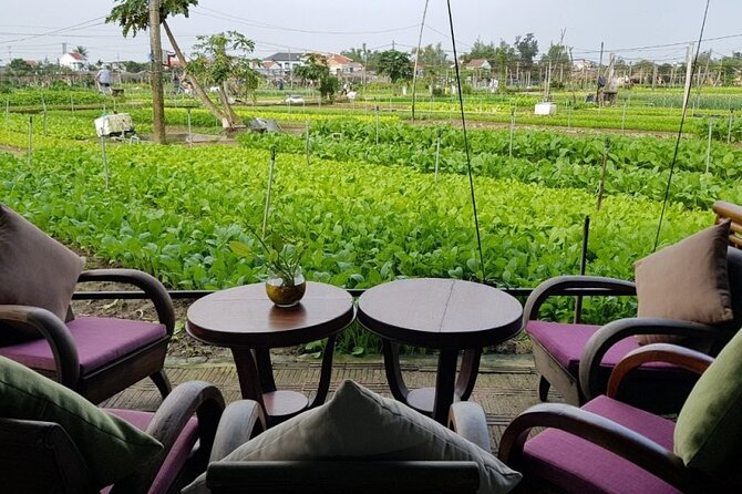 Cooking Class in Tra Que Village With Market and Garden Tour - Transportation and Logistics