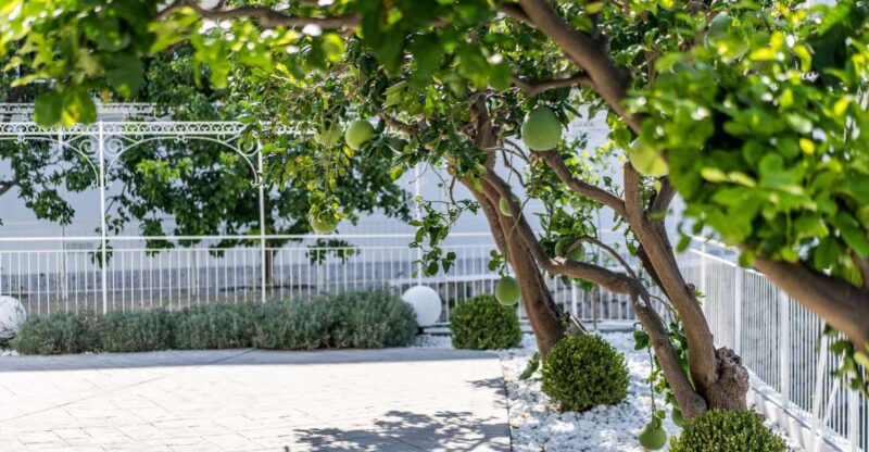 Cooking Class Italian Style - Pricing and Duration