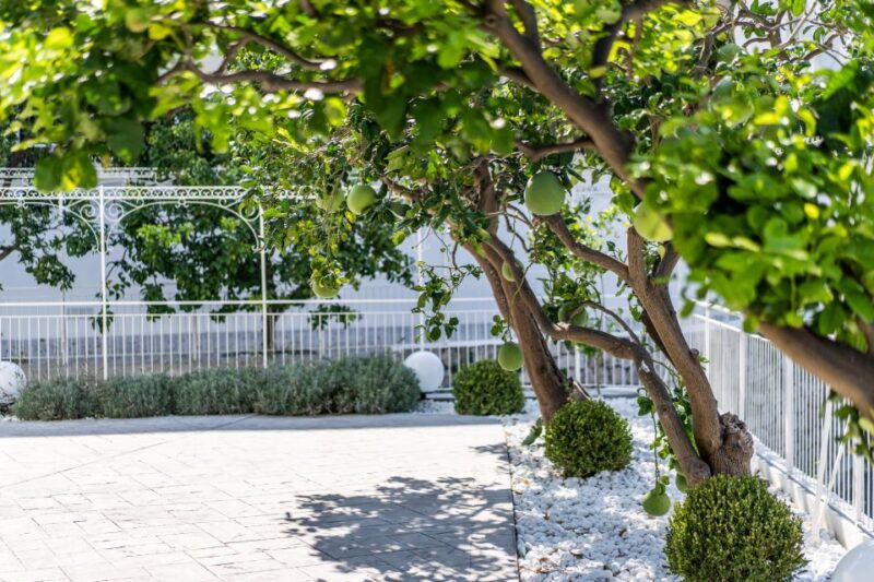 Cooking Class Italian Style - Frequently Asked Questions