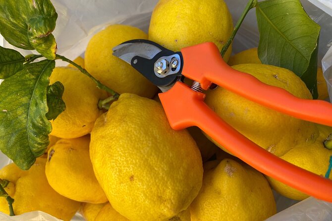 Cooking Class to Learn How to Make Limoncello in Sorrento - Exploring Sorrentos Charm