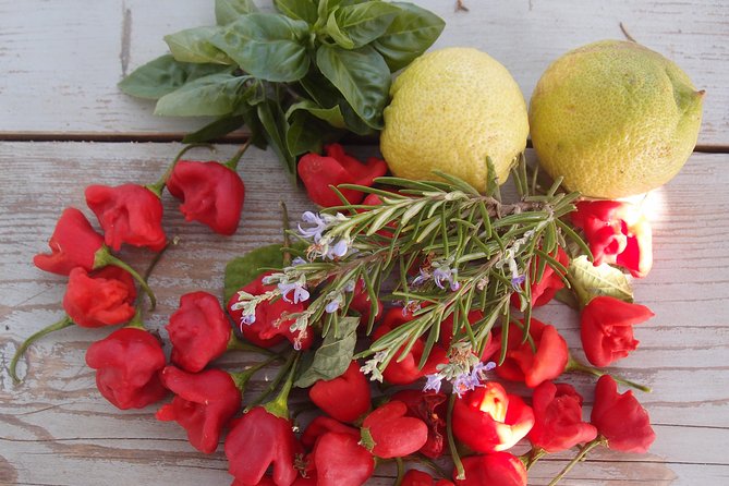 Cooking Class, Traditional Greek Cuisine, on a Greek Island - Guesthouse Hosting the Class