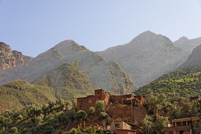 Cooking Class With Berber Family and Camel Rides - Key Points