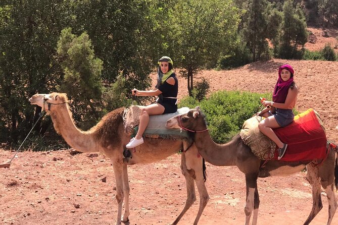 Cooking Class With Berber Family and Camel Rides - Hands-On Cooking Experience